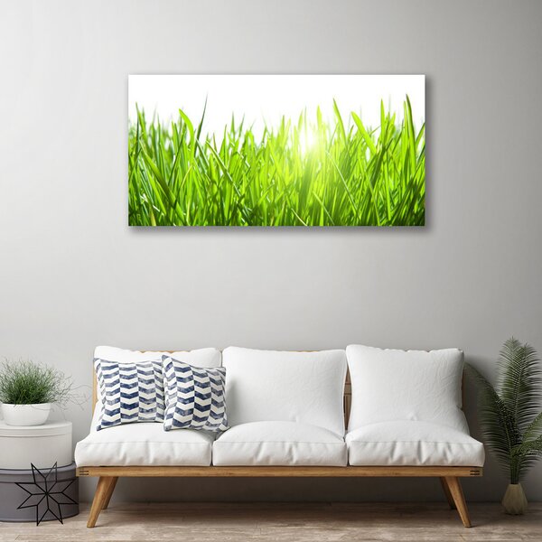 Tablou pe panza canvas Iarbă Natura verde