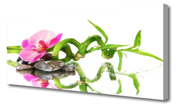 Tablou pe panza canvas Bamboo flori Stones Arta Verde Roz Gri