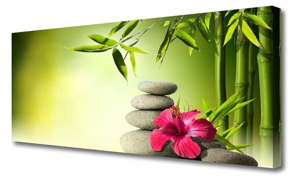 Tablou pe panza canvas Bamboo Tub flori Stones Floral Verde Roșu Gri