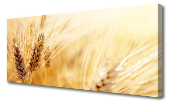 Tablou pe panza canvas Grâu floral galben