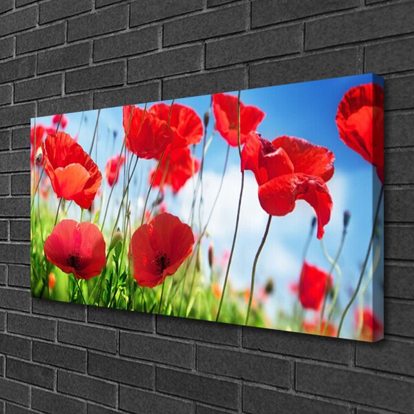 Tablou pe panza canvas Poppy Iarbă Natura Roșu Verde