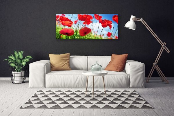 Tablou pe panza canvas Poppy Iarbă Natura Roșu Verde