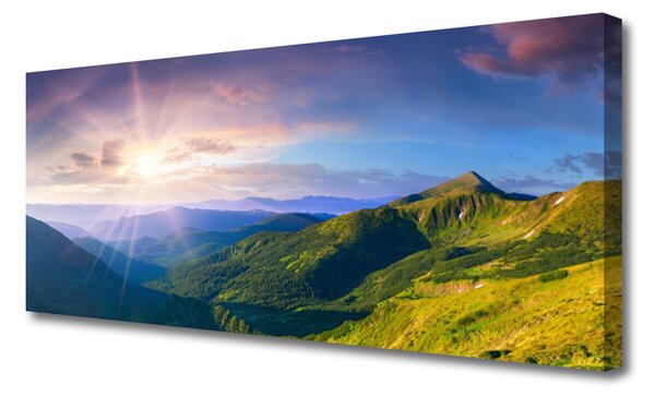 Tablou pe panza canvas Mountain Meadow Soare Peisaj Galben Gri Verde Violet