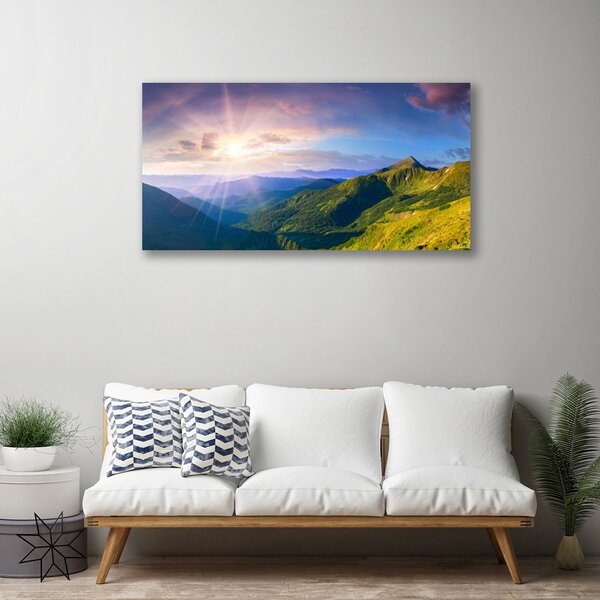 Tablou pe panza canvas Mountain Meadow Soare Peisaj Galben Gri Verde Violet