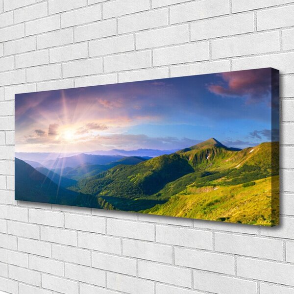 Tablou pe panza canvas Mountain Meadow Soare Peisaj Galben Gri Verde Violet