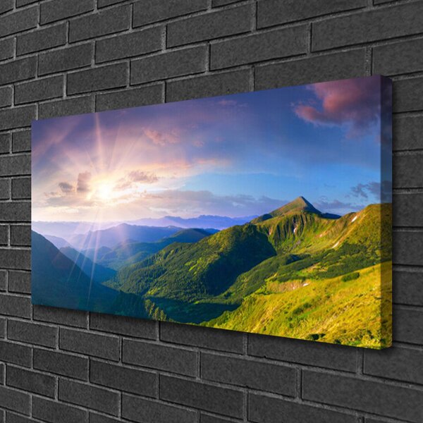 Tablou pe panza canvas Mountain Meadow Soare Peisaj Galben Gri Verde Violet