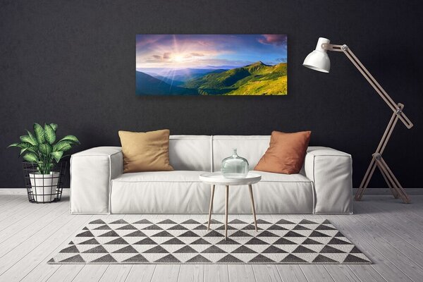 Tablou pe panza canvas Mountain Meadow Soare Peisaj Galben Gri Verde Violet