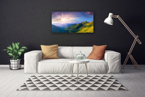 Tablou pe panza canvas Mountain Meadow Soare Peisaj Galben Gri Verde Violet
