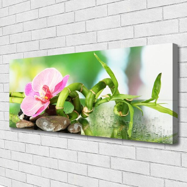 Tablou pe panza canvas Bamboo Peduncul flori Stones Natura Verde Roz Gri