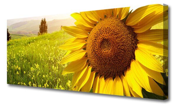Tablou pe panza canvas Floarea soarelui Floral Galben Maro