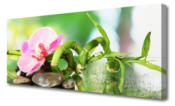 Tablou pe panza canvas Bamboo Peduncul flori Stones Natura Verde Roz Gri