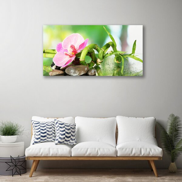 Tablou pe panza canvas Bamboo Peduncul flori Stones Natura Verde Roz Gri