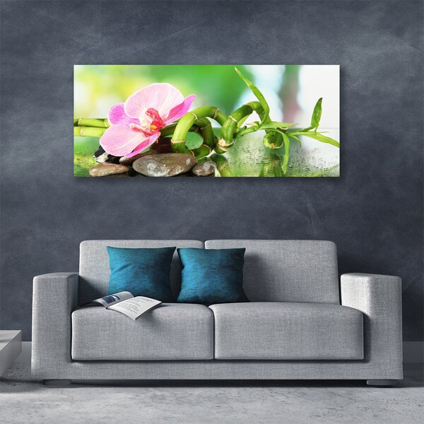 Tablou pe panza canvas Bamboo Peduncul flori Stones Natura Verde Roz Gri