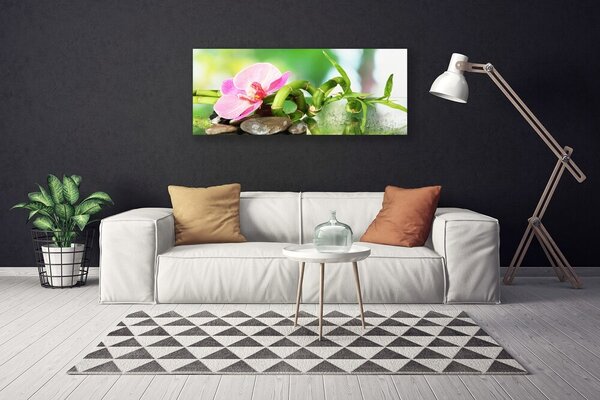 Tablou pe panza canvas Bamboo Peduncul flori Stones Natura Verde Roz Gri