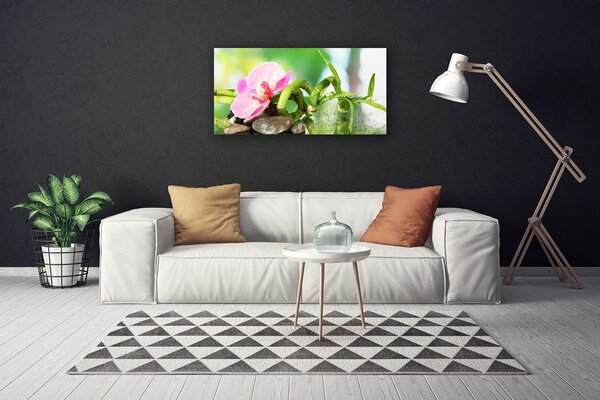 Tablou pe panza canvas Bamboo Peduncul flori Stones Natura Verde Roz Gri