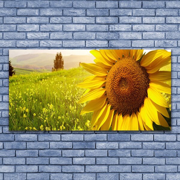 Tablou pe panza canvas Floarea soarelui Floral Galben Maro