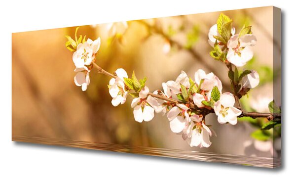 Tablou pe panza canvas Flori Floral alb