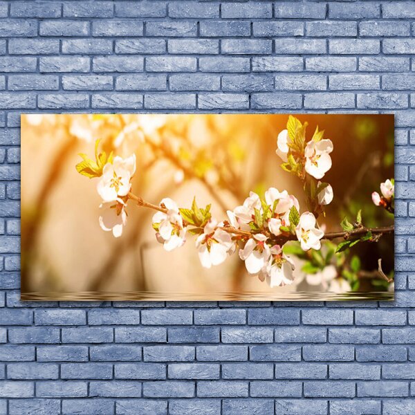 Tablou pe panza canvas Flori Floral alb