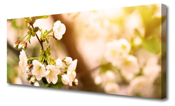 Tablou pe panza canvas Flori Floral alb