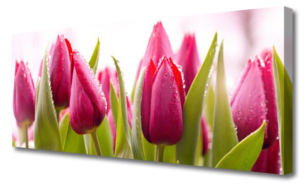 Tablou pe panza canvas Lalele Floral Red