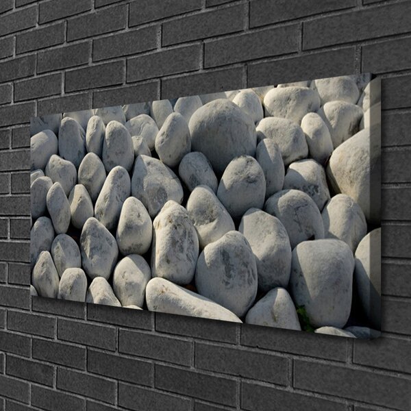 Tablou pe panza canvas Pietre Art Gray