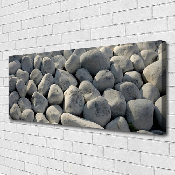 Tablou pe panza canvas Pietre Art Gray