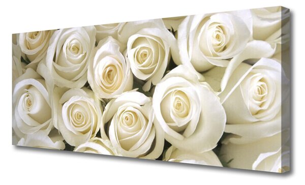 Tablou pe panza canvas Trandafiri Floral Alb