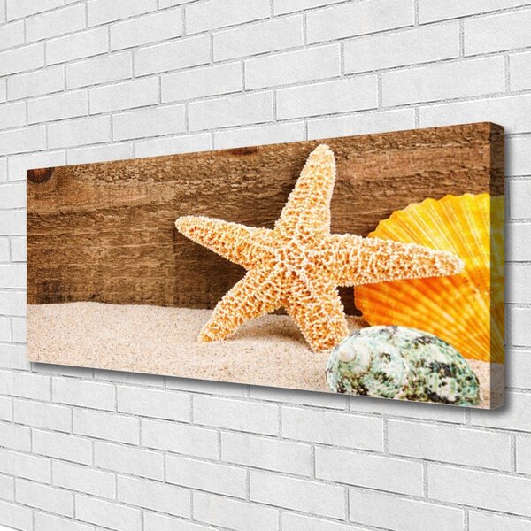 Tablou pe panza canvas Scoici nisip seastar Art Brun Galben Gri
