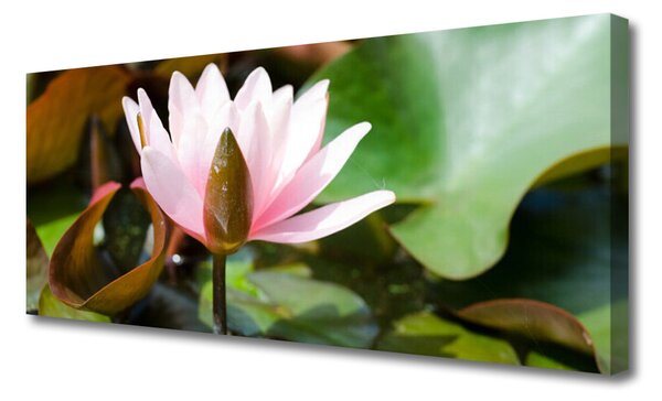 Tablou pe panza canvas Florale flori roz