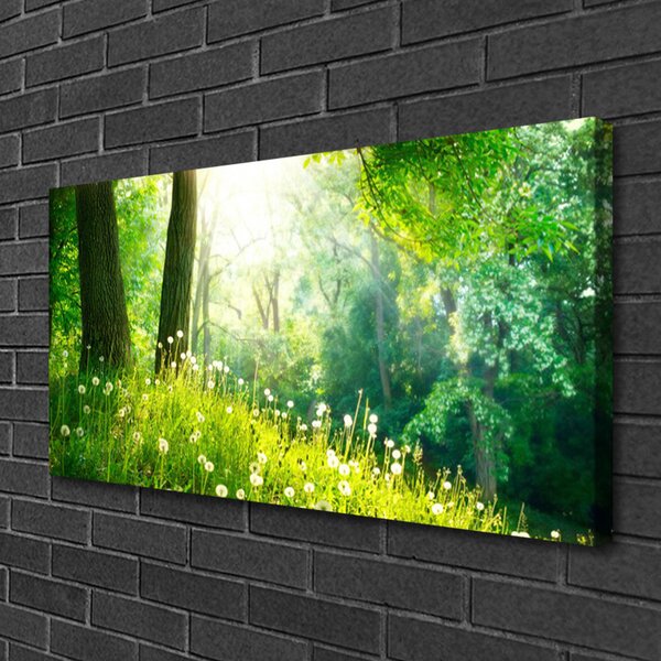 Tablou pe panza canvas Meadow Natura verde