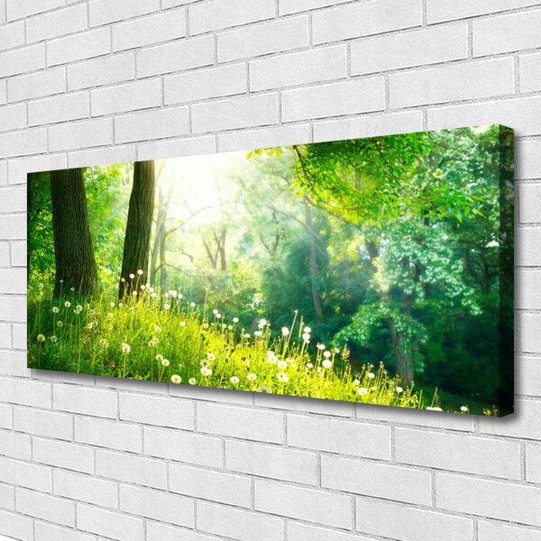 Tablou pe panza canvas Meadow Natura verde
