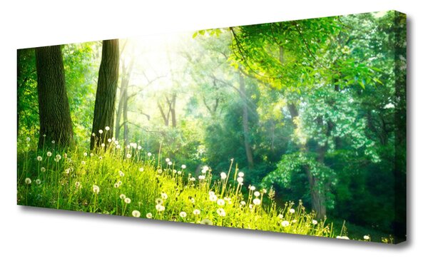 Tablou pe panza canvas Meadow Natura verde
