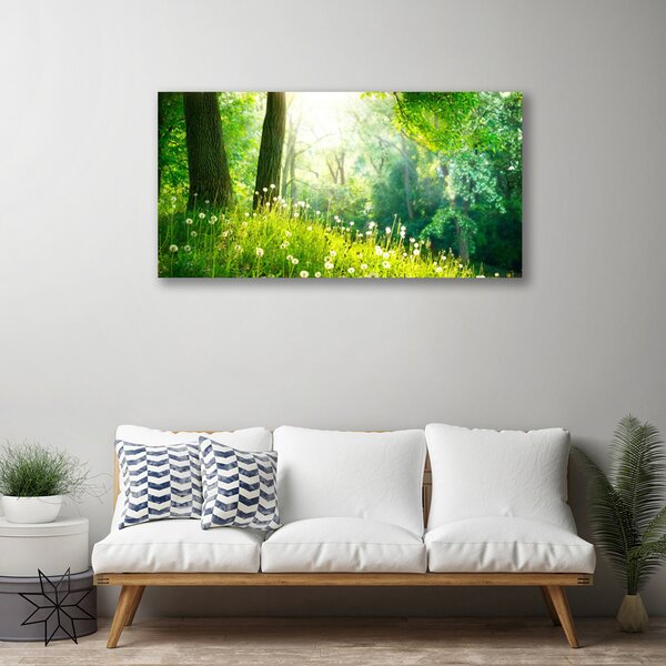 Tablou pe panza canvas Meadow Natura verde