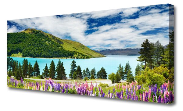 Tablou pe panza canvas Mountain Forest Meadow Lake Peisaj Verde Albastru Violet Roz