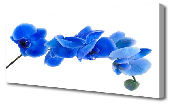 Tablou pe panza canvas Flower Floral Albastru