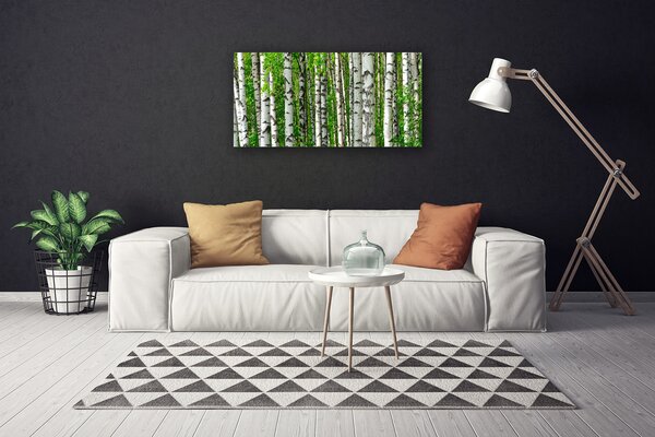 Tablou pe panza canvas Natural Pădurea Neagră Alb Verde