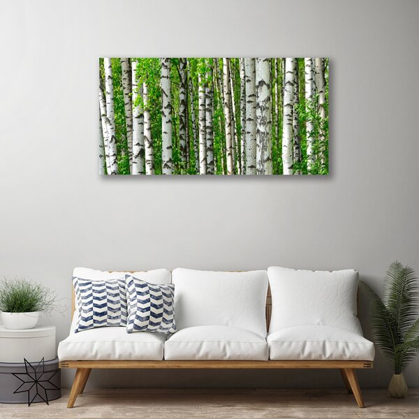 Tablou pe panza canvas Natural Pădurea Neagră Alb Verde
