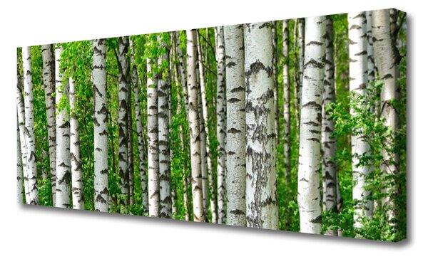 Tablou pe panza canvas Natural Pădurea Neagră Alb Verde