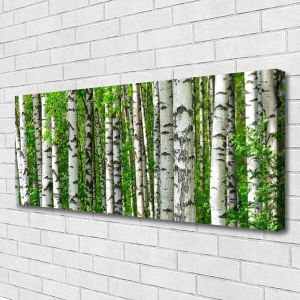 Tablou pe panza canvas Natural Pădurea Neagră Alb Verde