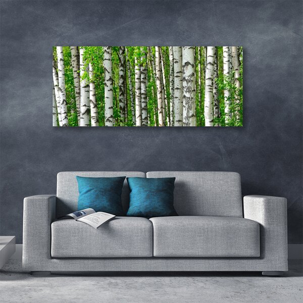 Tablou pe panza canvas Natural Pădurea Neagră Alb Verde