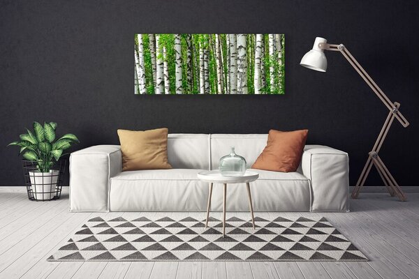 Tablou pe panza canvas Natural Pădurea Neagră Alb Verde