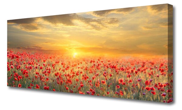 Tablou pe panza canvas Sun Meadow Poppy Flori Natura Galben Roșu Verde