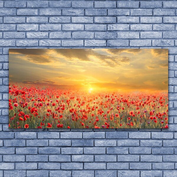 Tablou pe panza canvas Sun Meadow Poppy Flori Natura Galben Roșu Verde