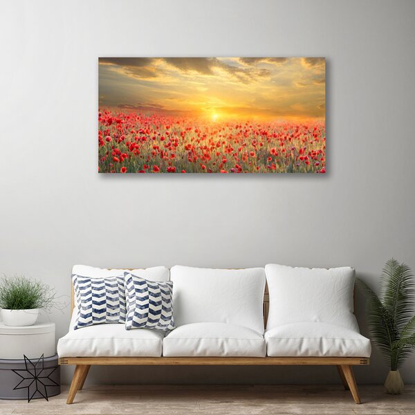 Tablou pe panza canvas Sun Meadow Poppy Flori Natura Galben Roșu Verde