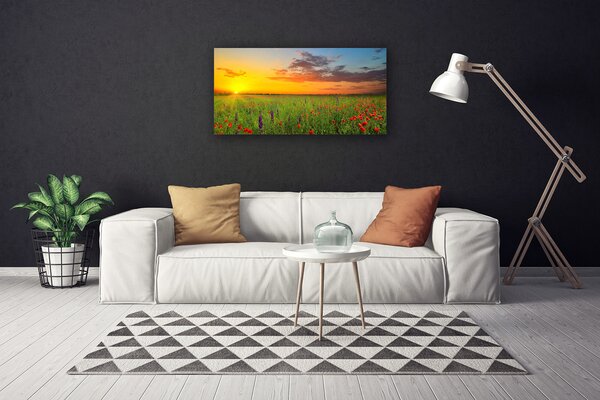 Tablou pe panza canvas Soare Meadow Flori Natura Galben Verde Roșu Violet