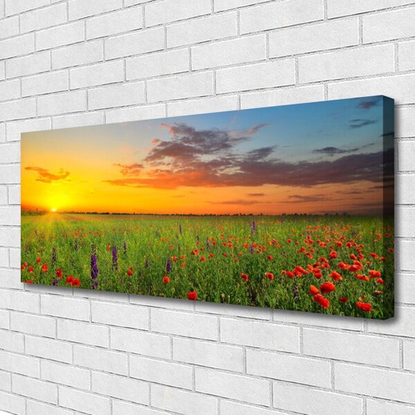 Tablou pe panza canvas Soare Meadow Flori Natura Galben Verde Roșu Violet