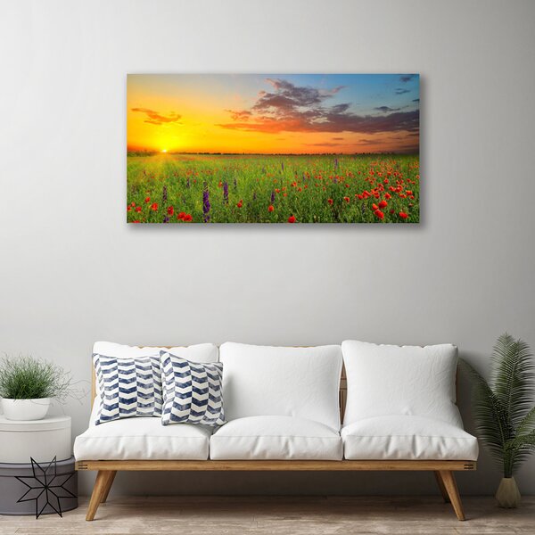 Tablou pe panza canvas Soare Meadow Flori Natura Galben Verde Roșu Violet