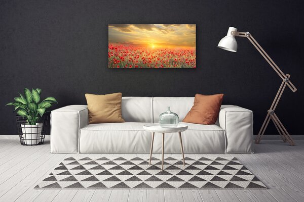 Tablou pe panza canvas Sun Meadow Poppy Flori Natura Galben Roșu Verde