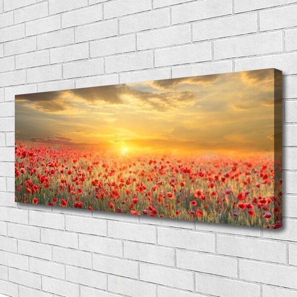 Tablou pe panza canvas Sun Meadow Poppy Flori Natura Galben Roșu Verde