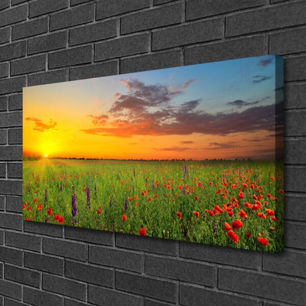 Tablou pe panza canvas Soare Meadow Flori Natura Galben Verde Roșu Violet